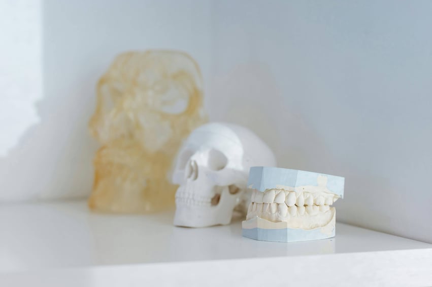 Tooth display 2