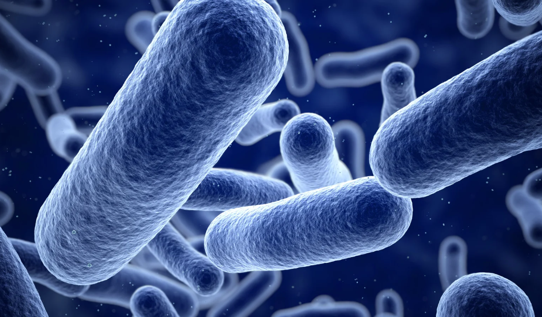 A diagram of mouth bacteria