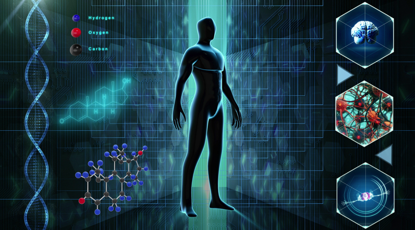 Body function diagram