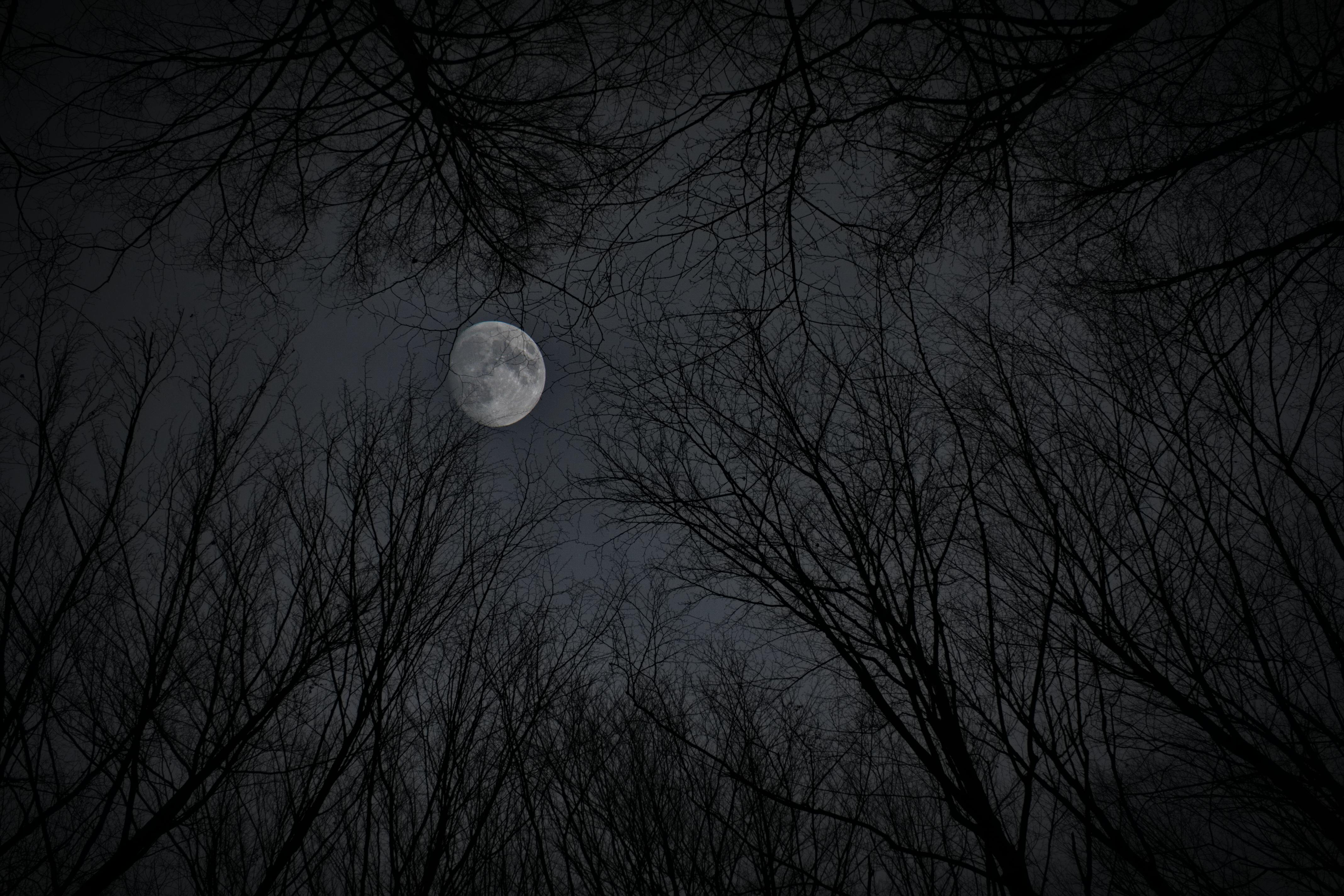 A spooky moon